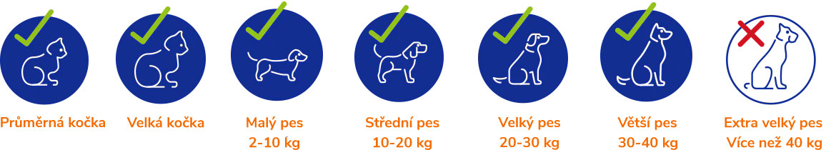 Small-dog-large-catsag